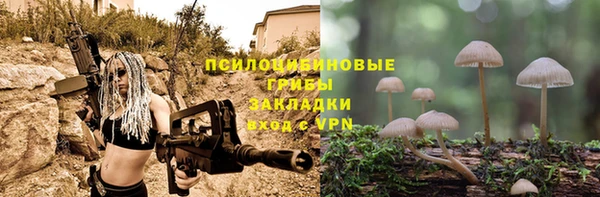 твердый Касимов