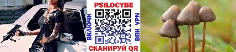 купить наркоту  кракен ССЫЛКА  Галлюциногенные грибы GOLDEN TEACHER  Людиново 